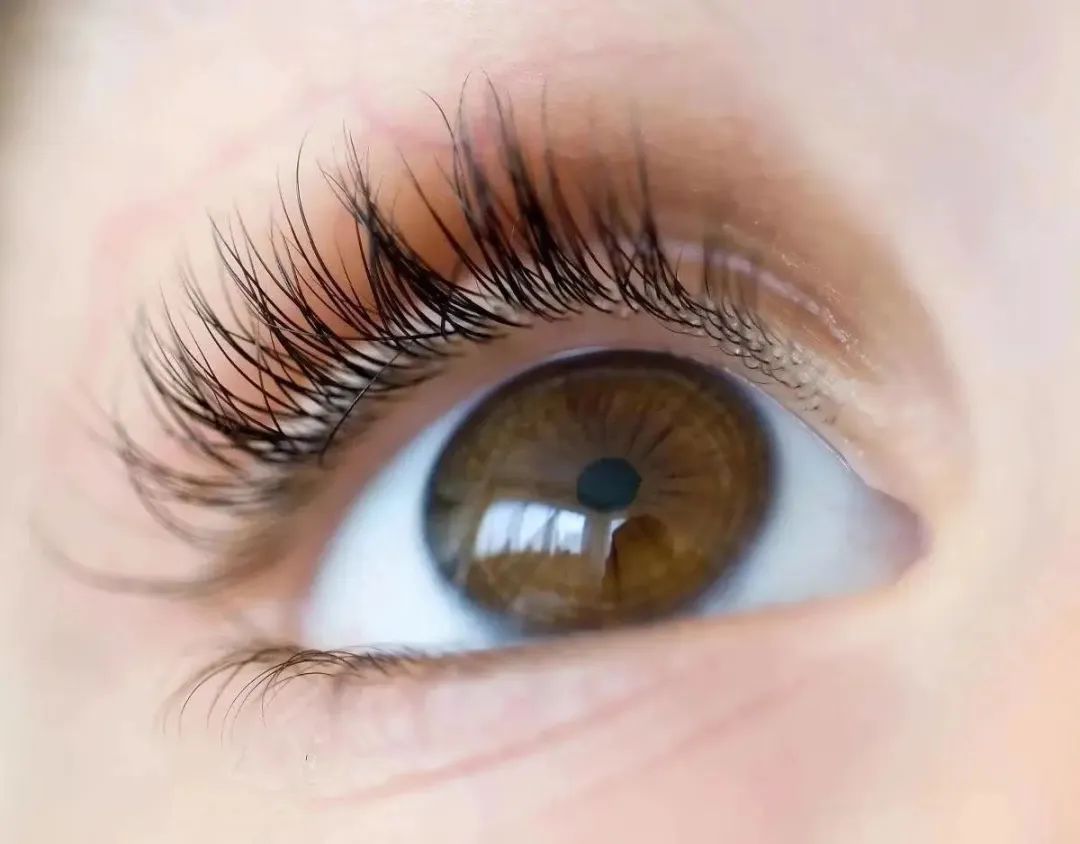 保护眼睛的宝宝辅食,吃了对宝宝眼睛好的食物有哪些