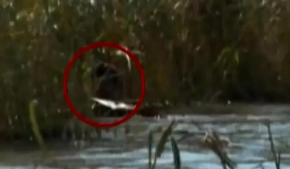 最猖狂的悍匪,黑龙江十大悍匪排行榜