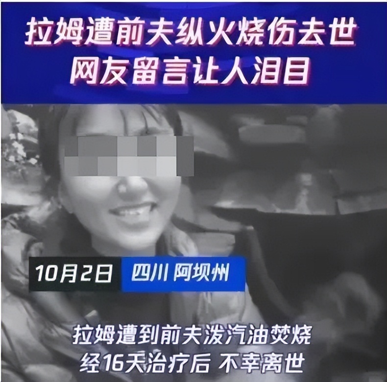 家暴男砍死柯基后续截图,家暴男砍死柯基后续