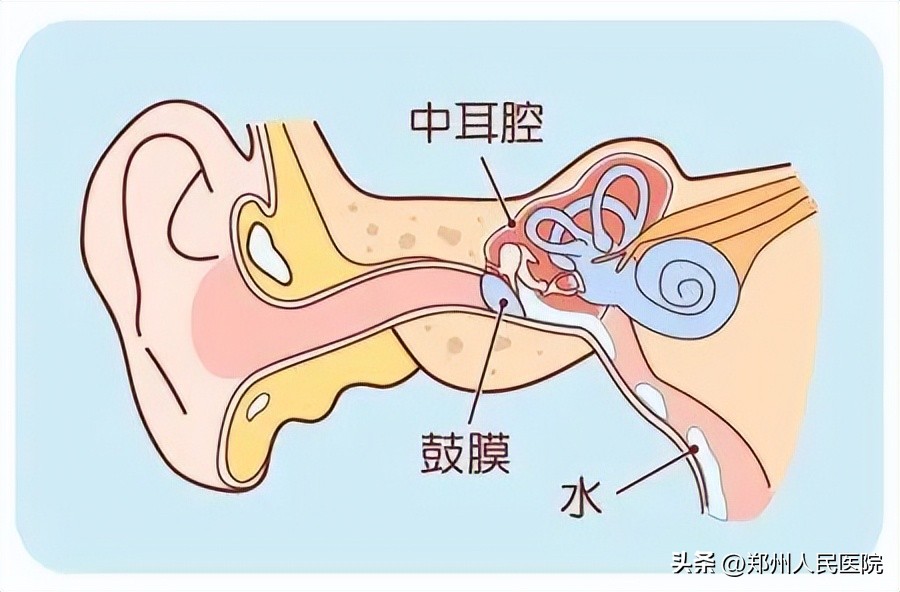 专家提醒小心耳朵里长了小蘑菇,耳朵上长蘑菇一样的东西