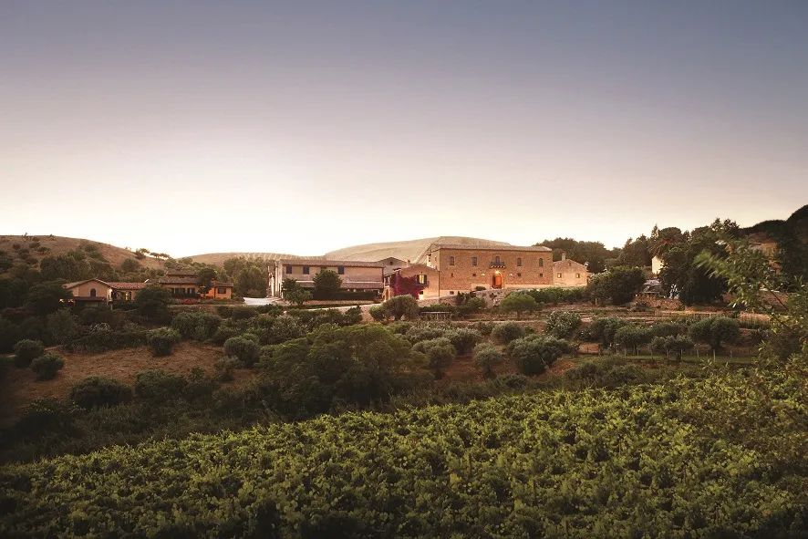 西西里葡萄酒先锋卢西奥·塔斯卡去世：将“黑珍珠”推广到世界