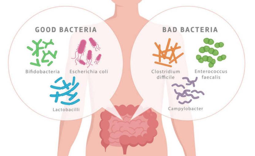 益生菌的正确用法婴儿,益生菌入门基础知识