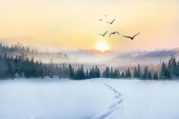 冬至李白古诗词,冬至古诗词苏轼