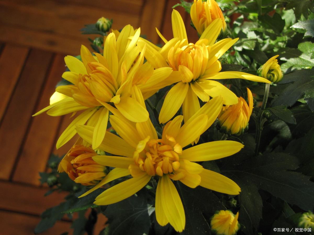 把老师写哭的作文完整版,伤感作文能让老师哭