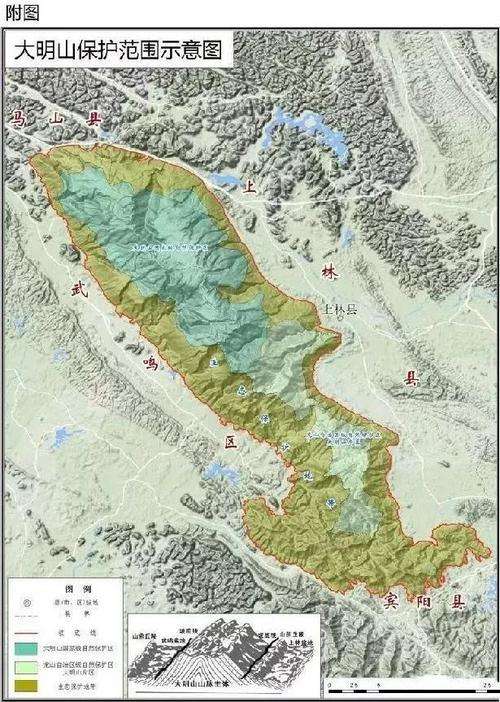 广西大明山发现新物种,广西惊现幽灵之花