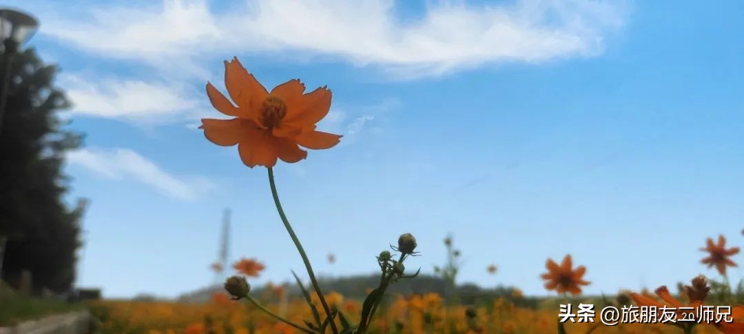 佛山三水白坭附近的旅游景点,佛山三水出发黄姚古镇旅游攻略