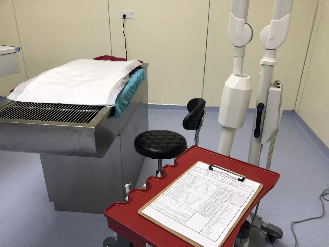 牙釉质发育不全能矫正吗,牙釉质发育不全怎么补救