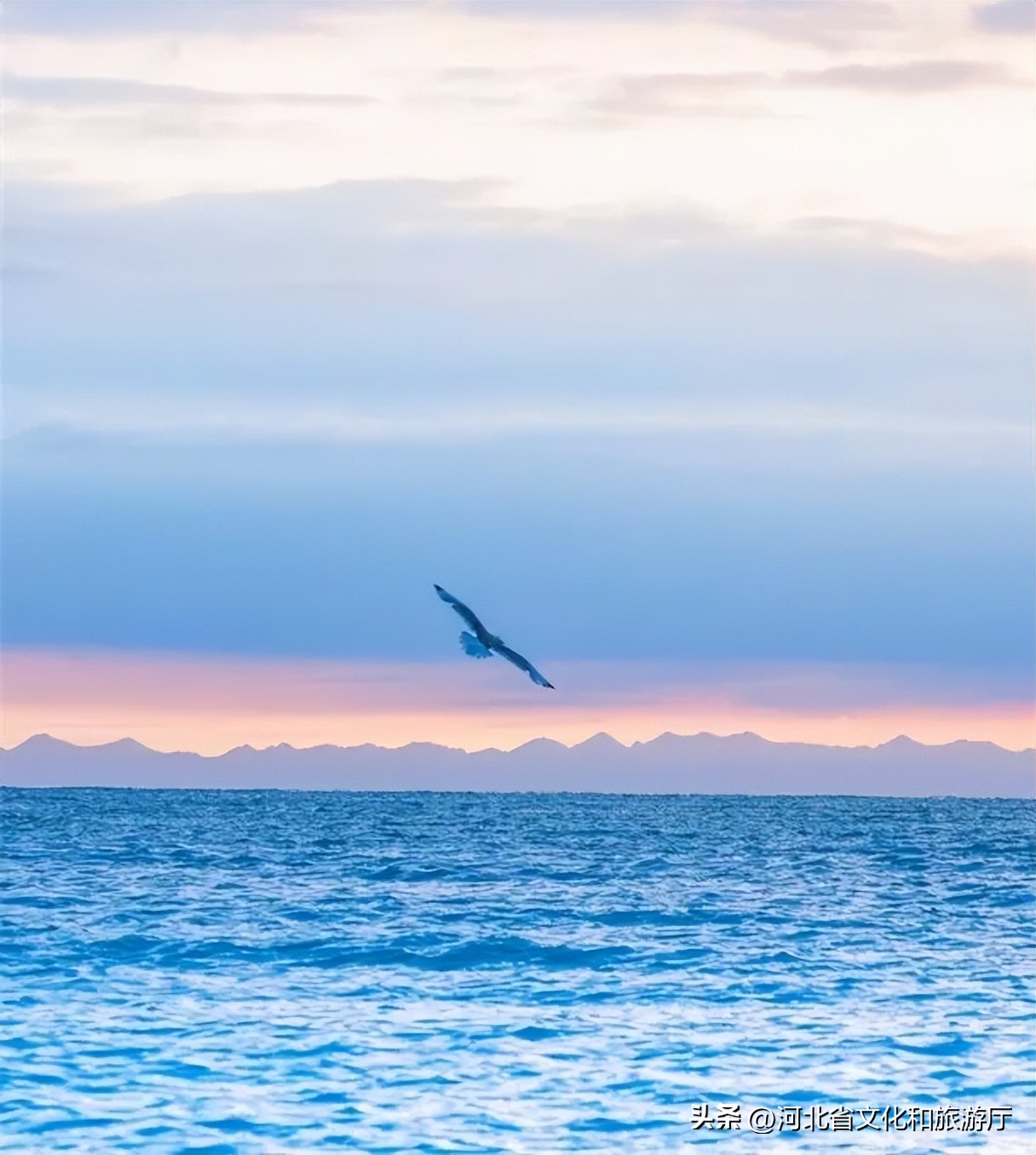 四川夏季旅行必打卡地,这几个最值得夏天去玩的旅行圣地