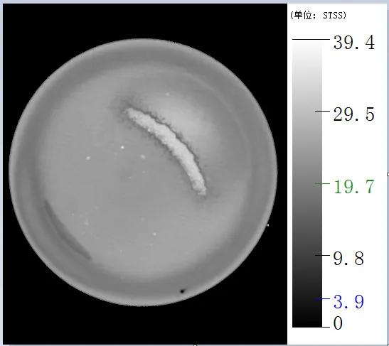 德国pva超声波扫描显微镜,pva超声扫描显微镜