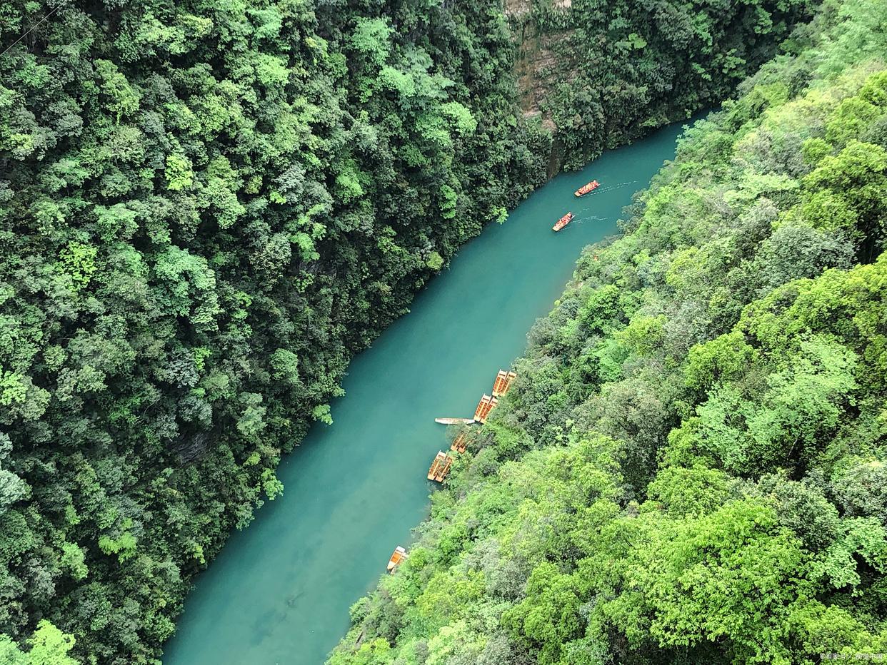 恩施旅游十大必去旅游景点有哪些,恩施地心谷北纬38度的浪漫
