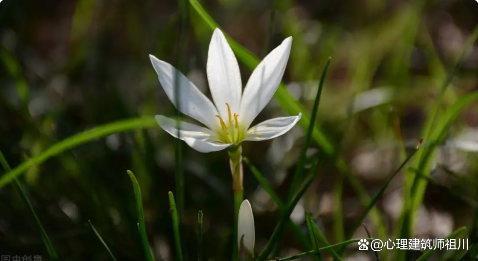 我是怎样走出抑郁症的,我是如何走出抑郁的刘聪