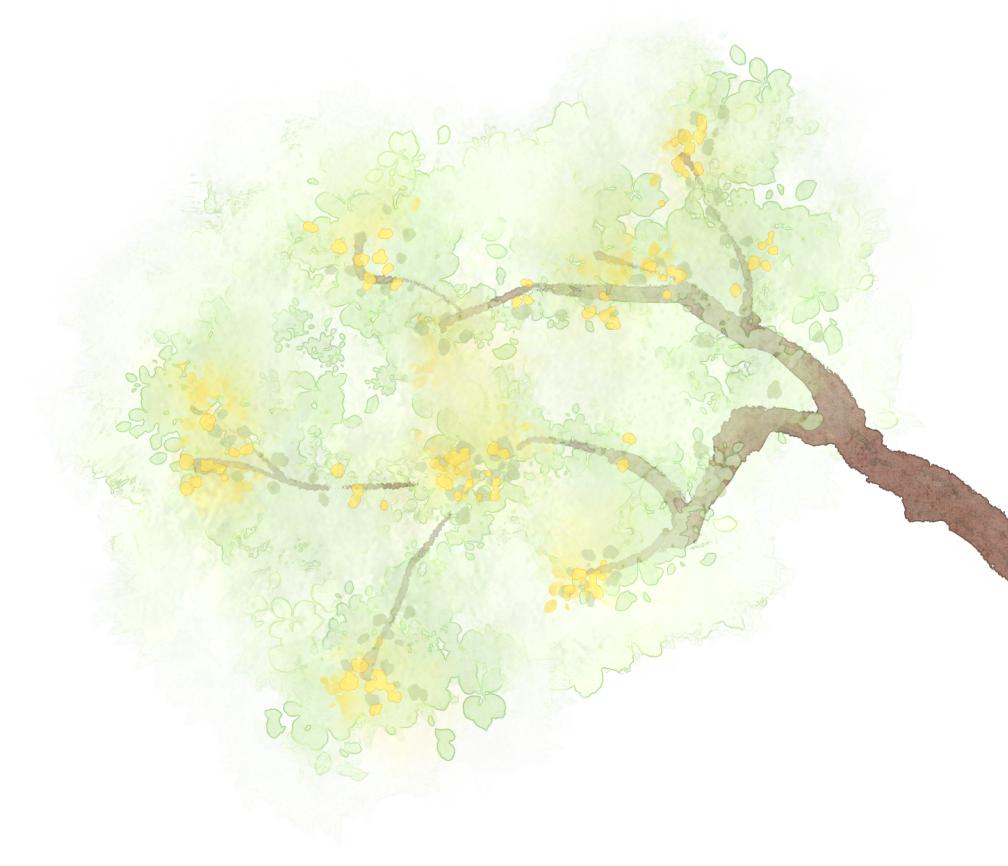 范扬画中国,范扬绘画视频