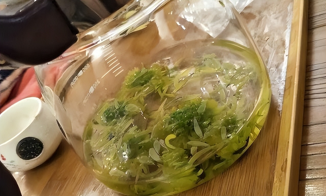 上了年纪哪些食物要少吃,上了年纪需要特意喝药防范疾病吗