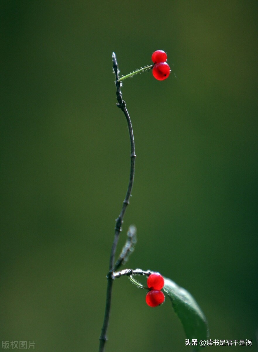 国学经典之三国志导读第六十讲,国学经典导读第二版