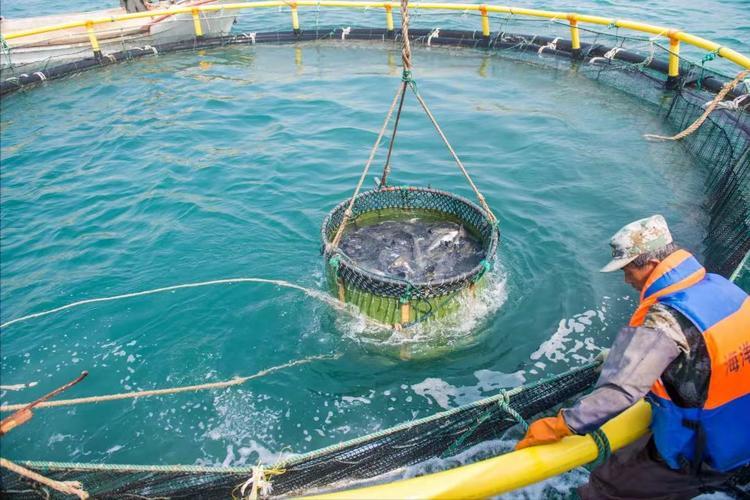 官方谈海洋新兴产业,海洋产业板块发展战略与规划