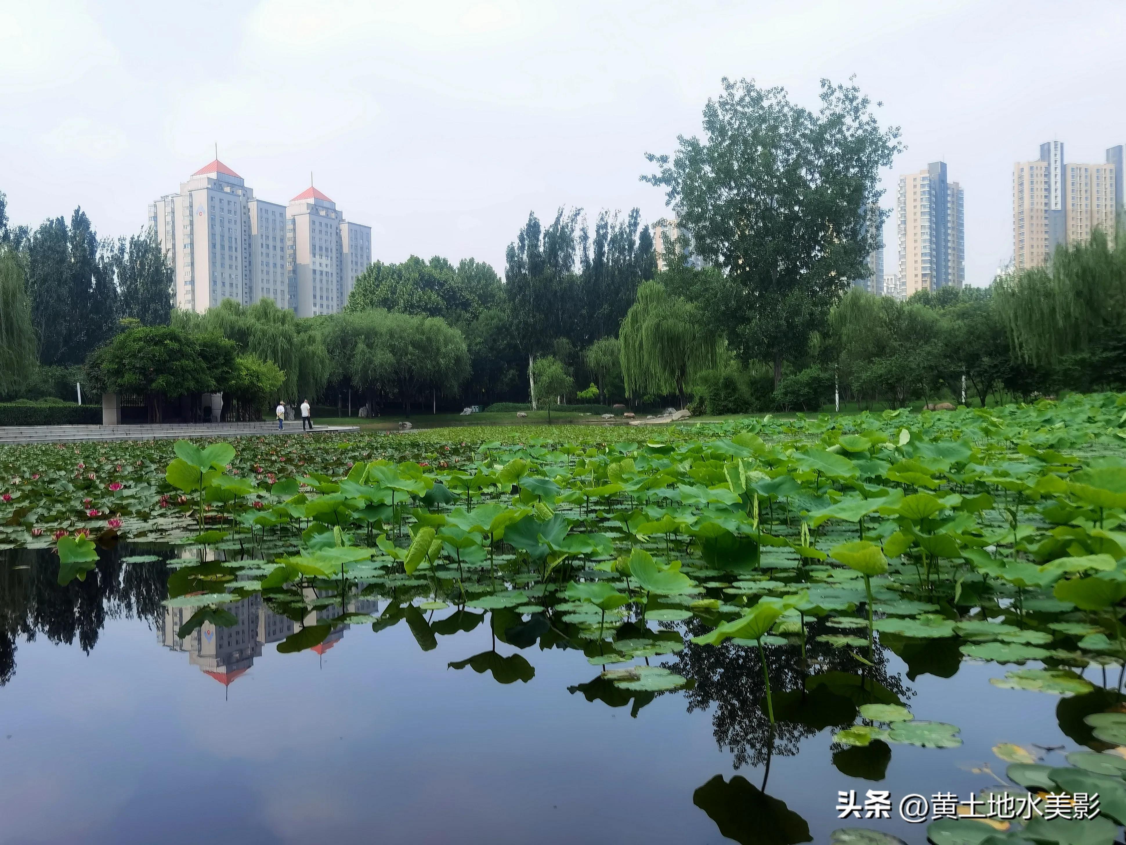郑州儿童节周边游,郑州室外适宜小朋友游玩的景点