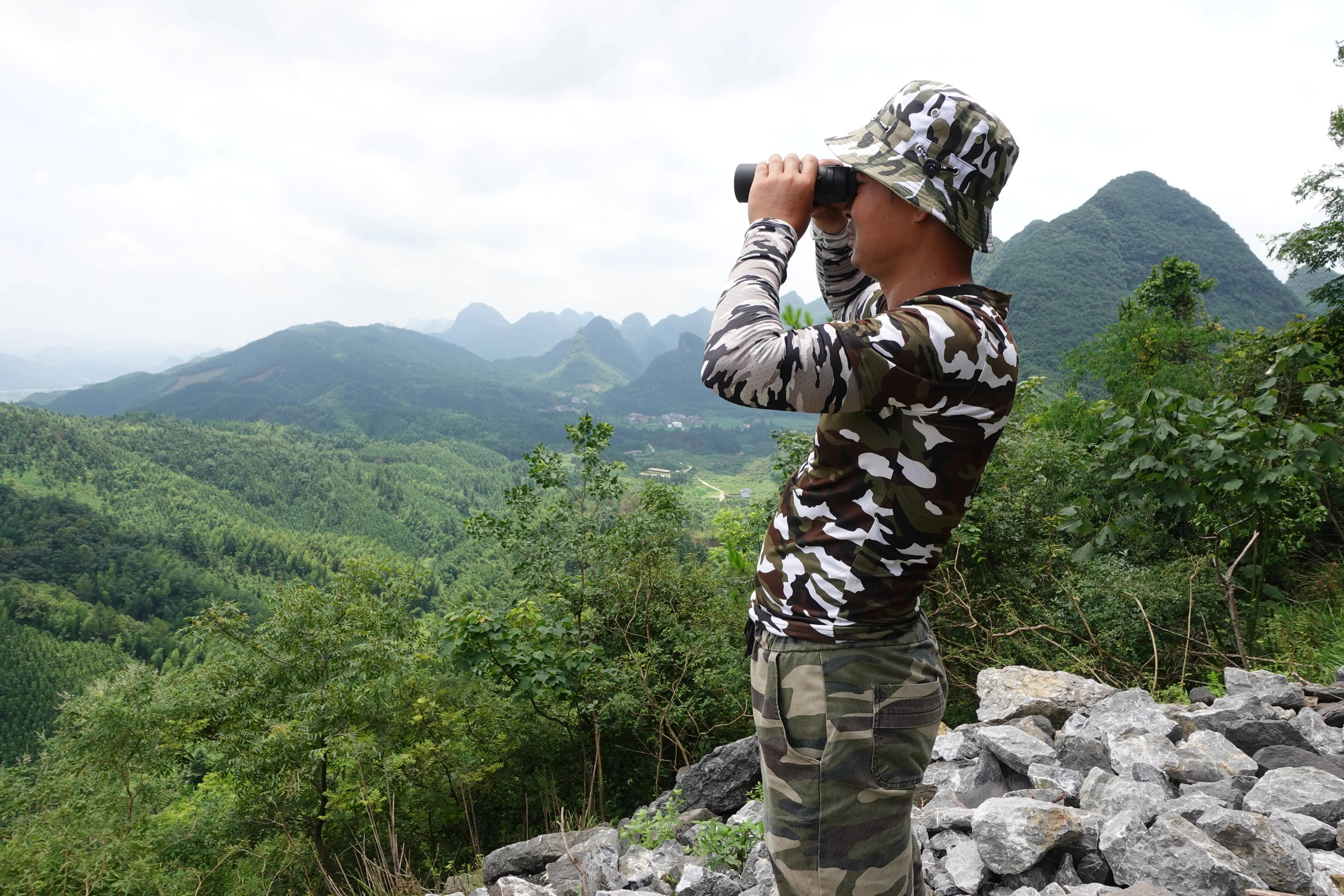 找蜜蜂专用望远镜,望远镜找蜜蜂方法视频