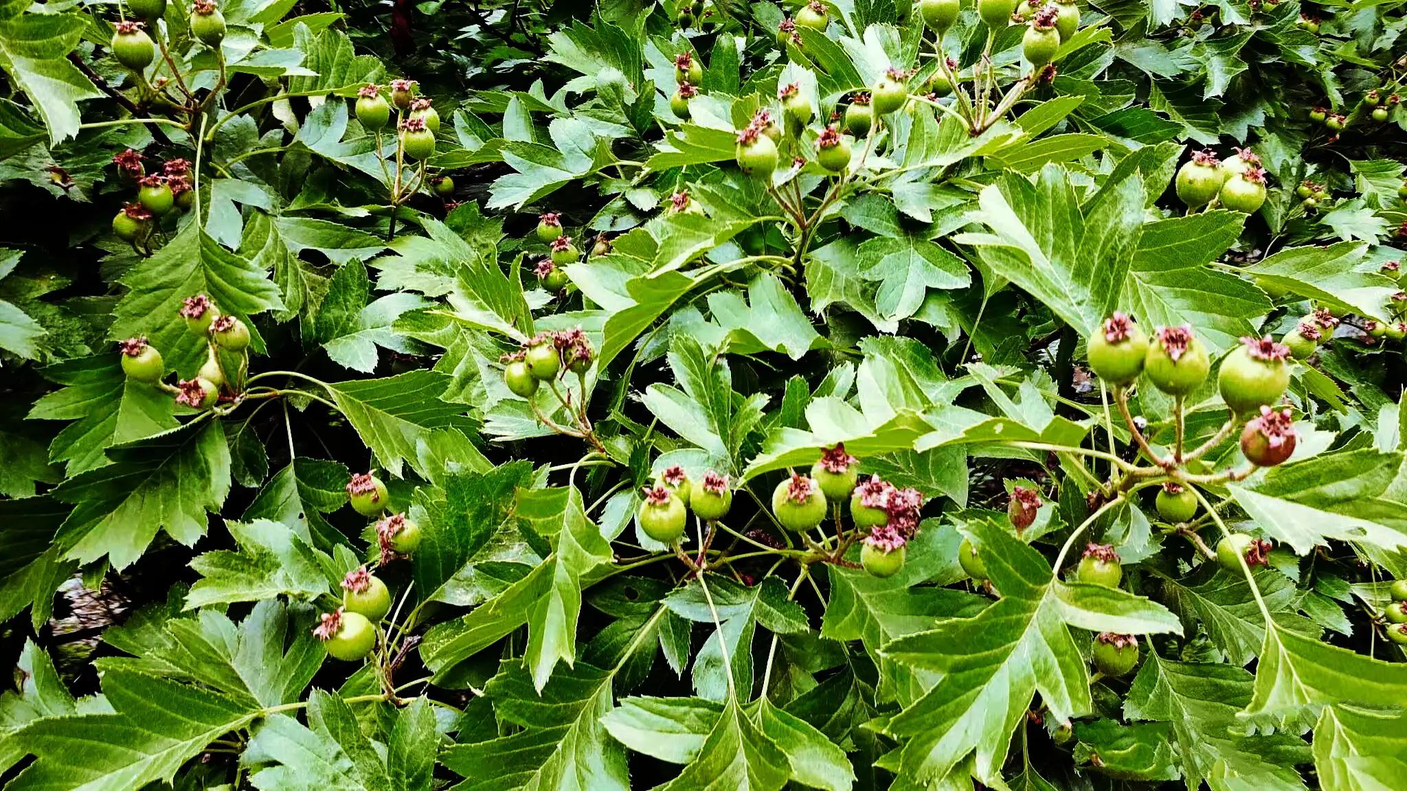 焦作南太行古村落一日游,大美河南云台山游记