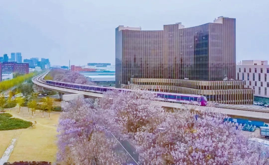 警花表白同为民警的新郎,警花燕子电影完整版