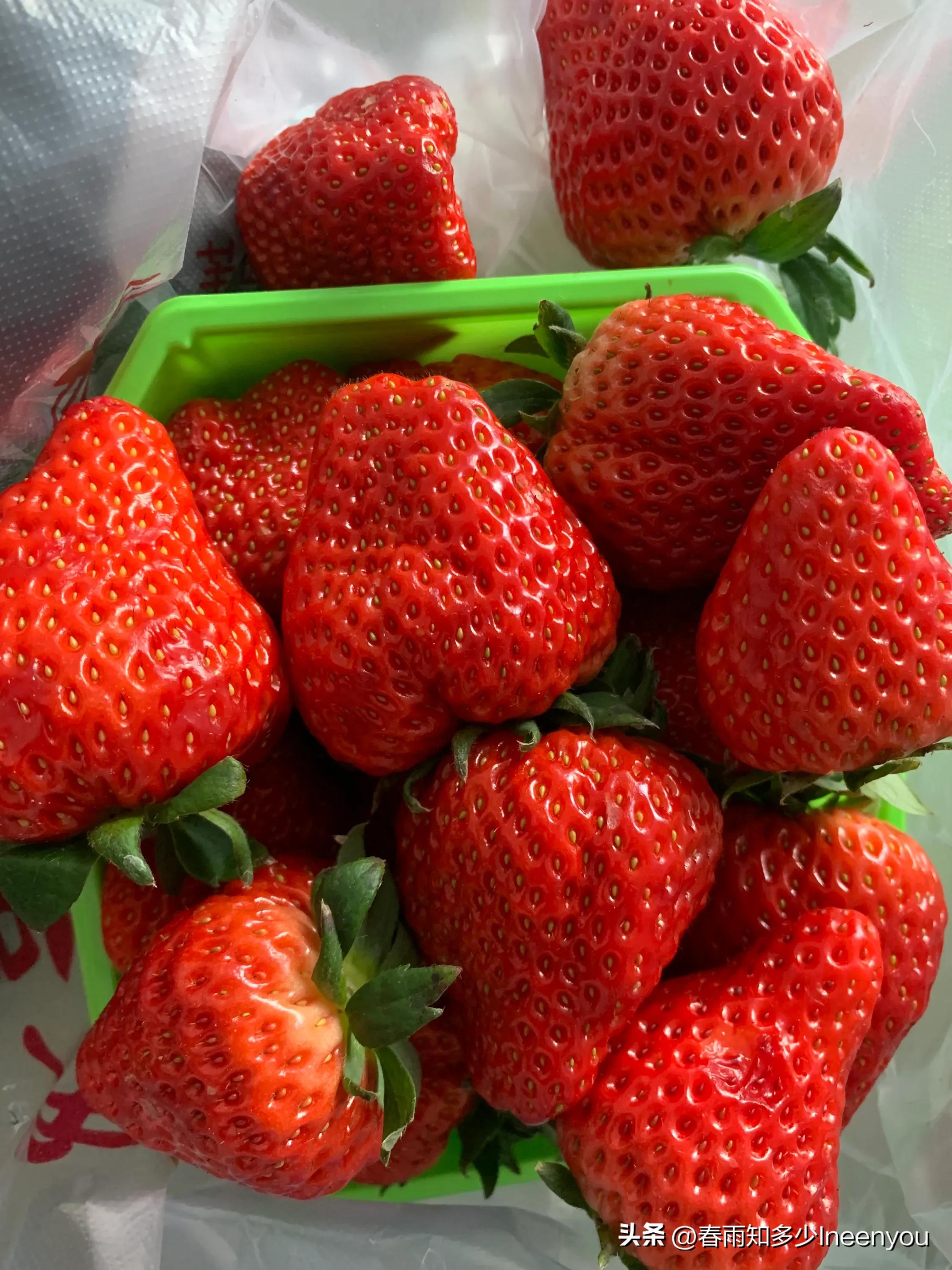 生活本就是不停的奔波,元旦将至忙忙碌碌