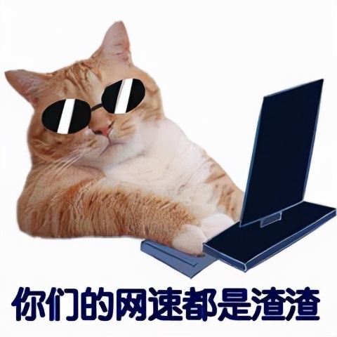 斐讯0元购侵犯消费者权益,斐讯创始人