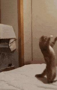 神回复够肉了吗,神回复年龄问题