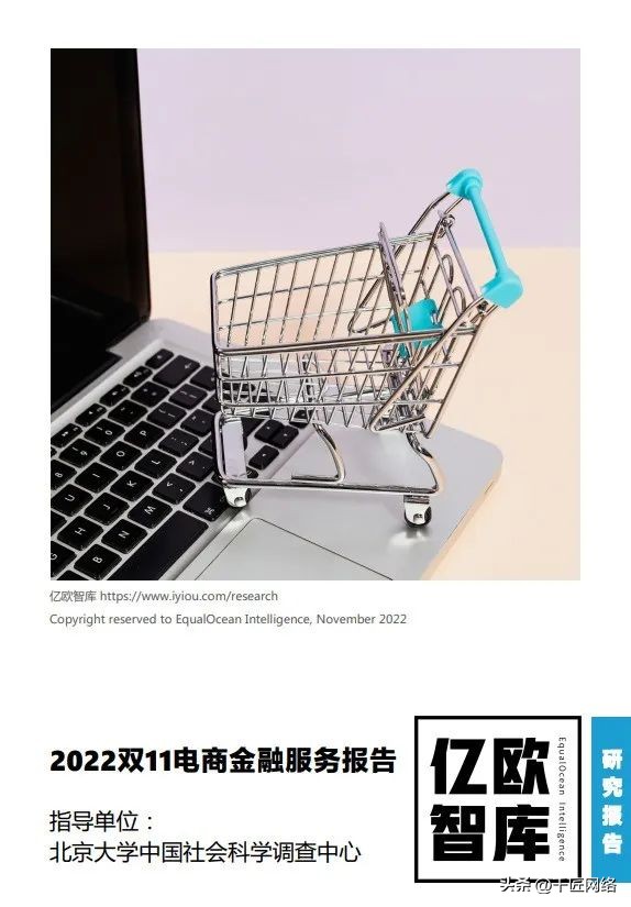 双十一购物狂欢节营销逻辑,双十一购物节营销分析报告