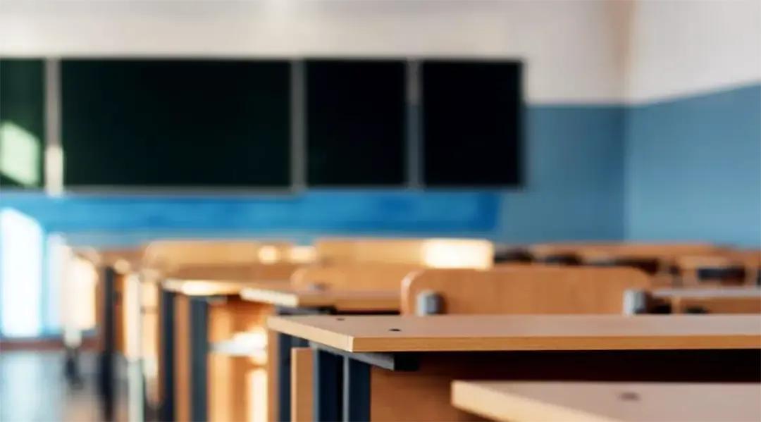 还可以坐在一棵不认识的树下