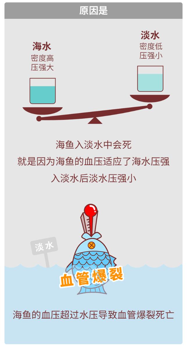 海鱼对男人有什么好处,常吃海鱼对男人啥好处