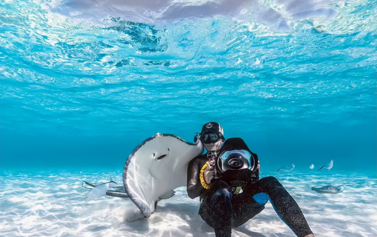 华春莹点赞的水下舞蹈,华春莹转发水下舞蹈