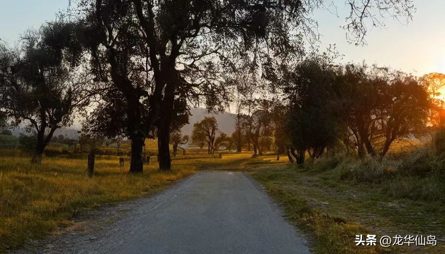 灵境ai绘画怎样选择风格,灵境ai作画app