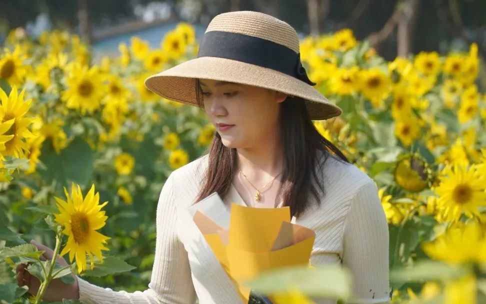 深圳五一免费景点攻略,深圳周边三八节免费景点