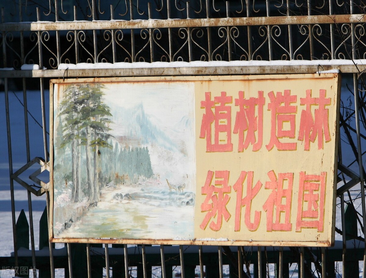 ai写作征文,ai写作计划书