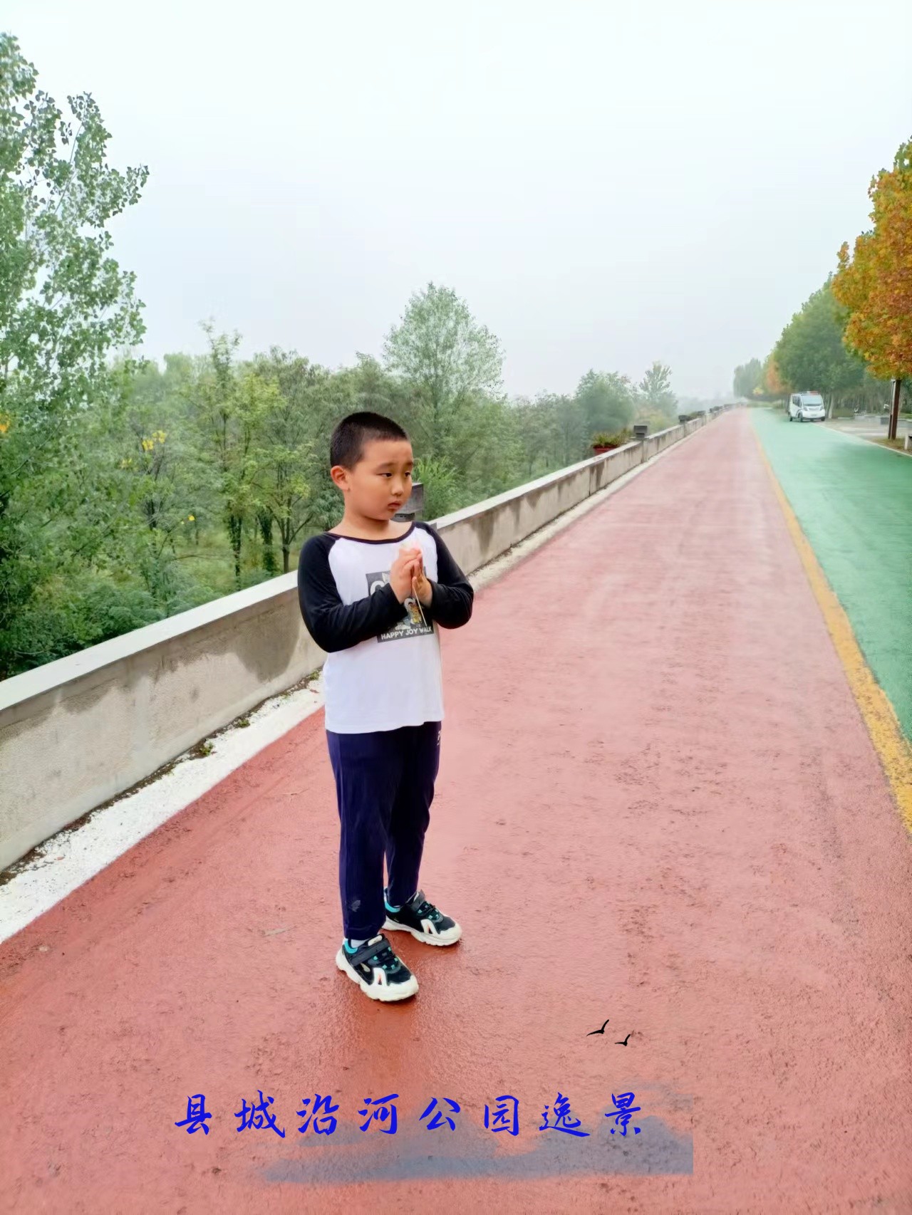 洋洋故事分享,洋洋的故事100个