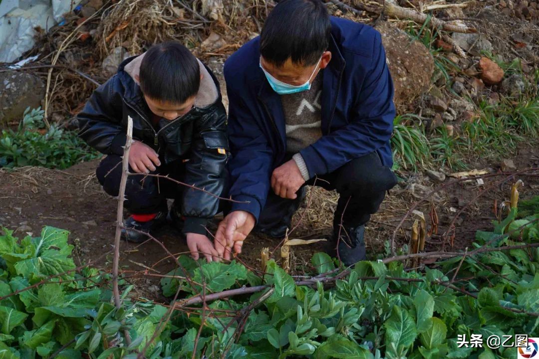 孙子发狂砍断爷爷的手筋，爷爷流泪倾诉：只要孙子能好要命都可以