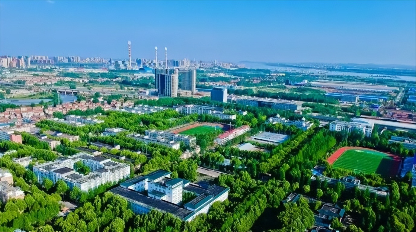 一人一树绿化地球公益活动,爱校护校共建美好校园