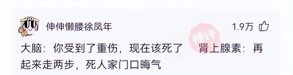 神回复:用日本的*旗国**擦屁股犯法吗?神评绝了,让我大开眼界