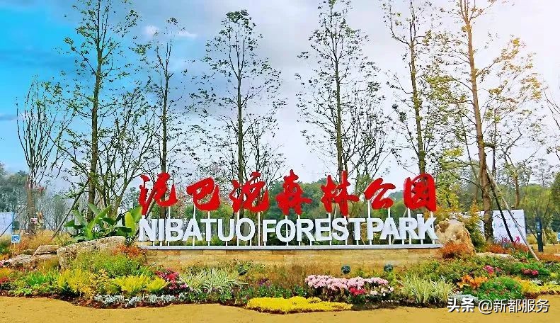 新都发展最好的地方,新都什么路练车比较合适