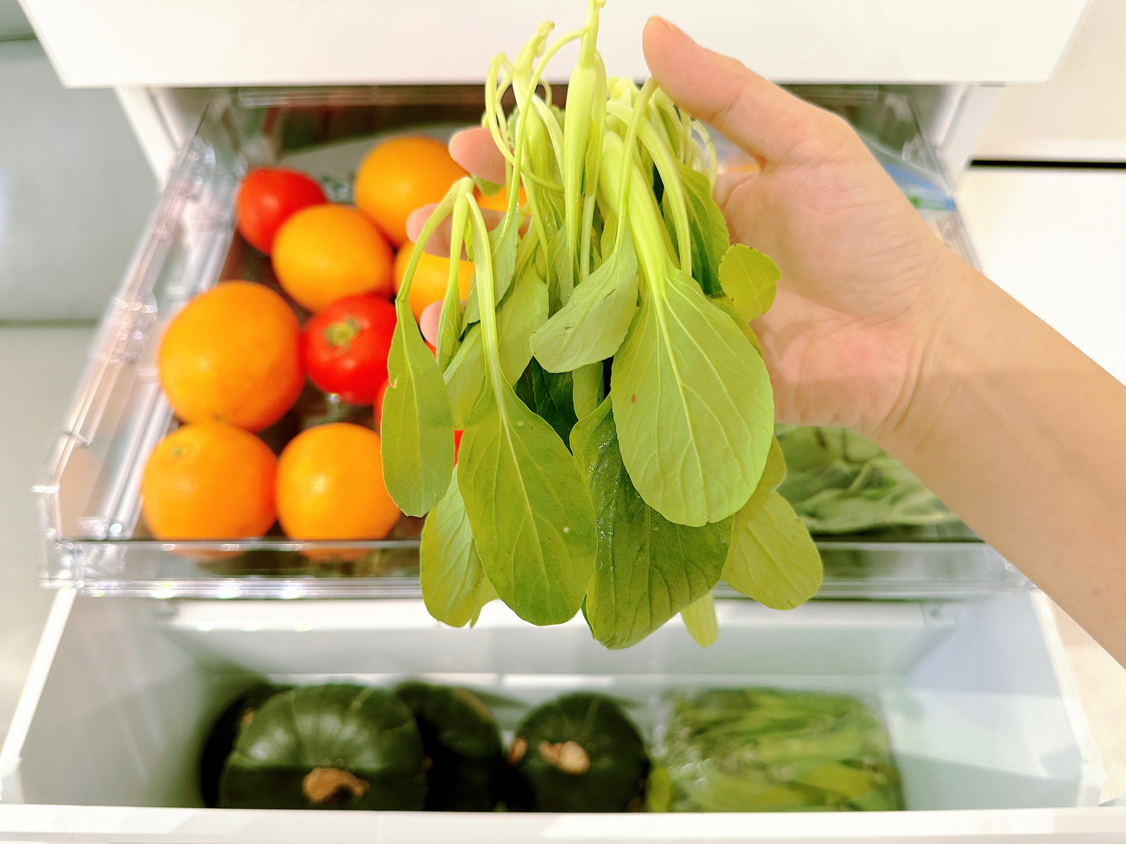 极简家配晴空白色冰箱真的yyds！皮薄馅大超好用