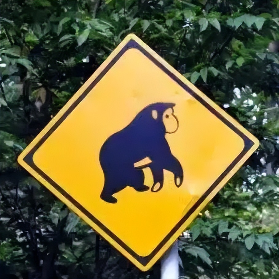 怪兽出没请避让,怪兽出没小心避让