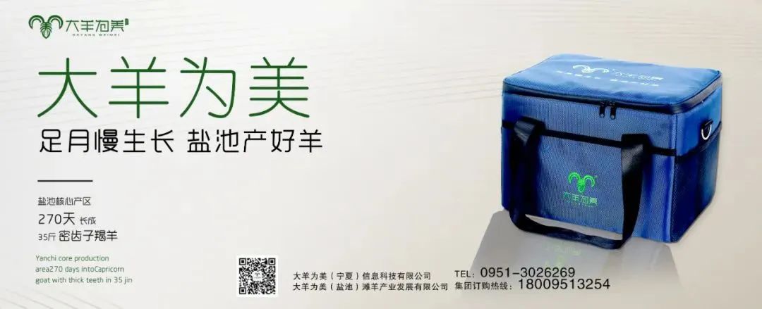 大羊为美,大羊为美银川店