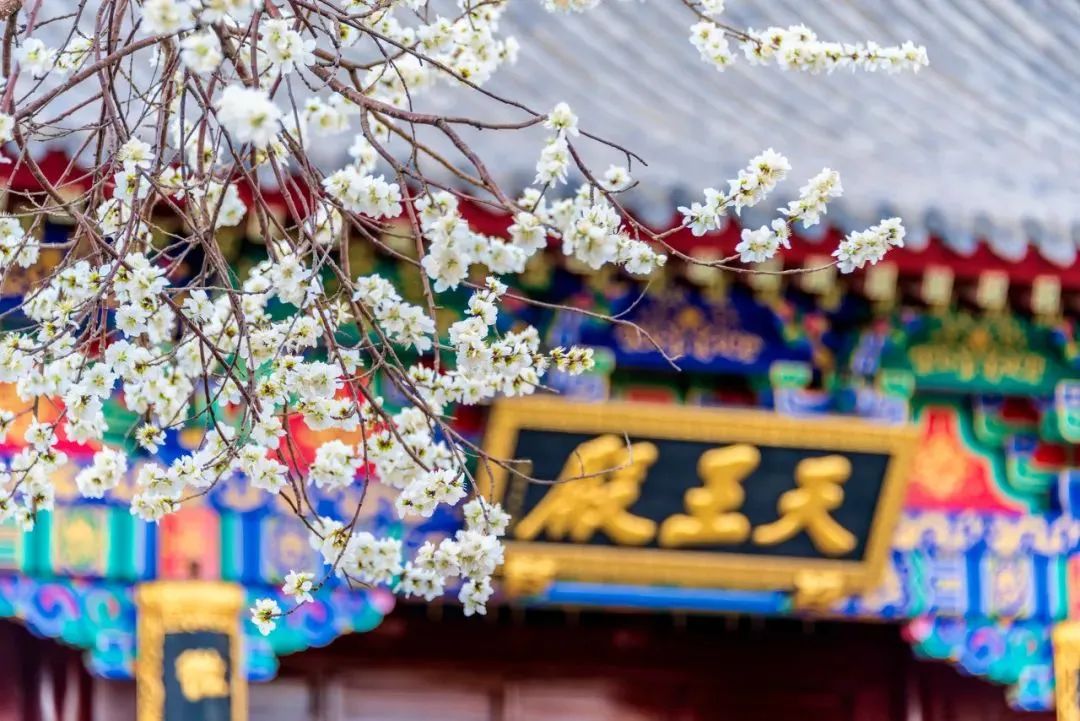 一朝发祥地两代帝王都什么意思,一朝发祥地两代帝王城的意思