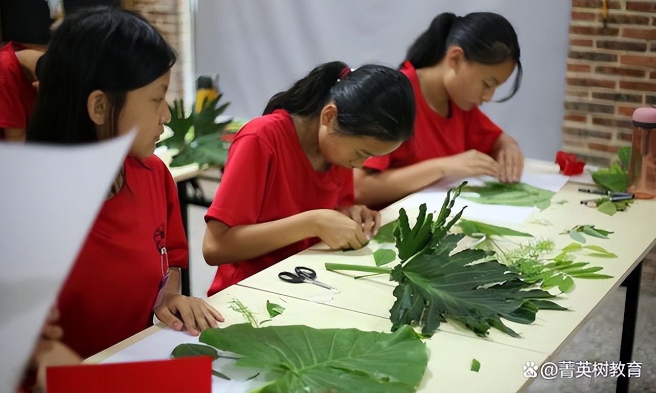 四川口碑最好的夏令营,四川夏令营哪个机构好些