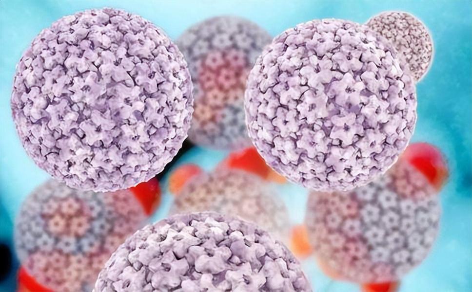 梅毒潜伏性,梅毒能在身体里潜伏几年没有症状