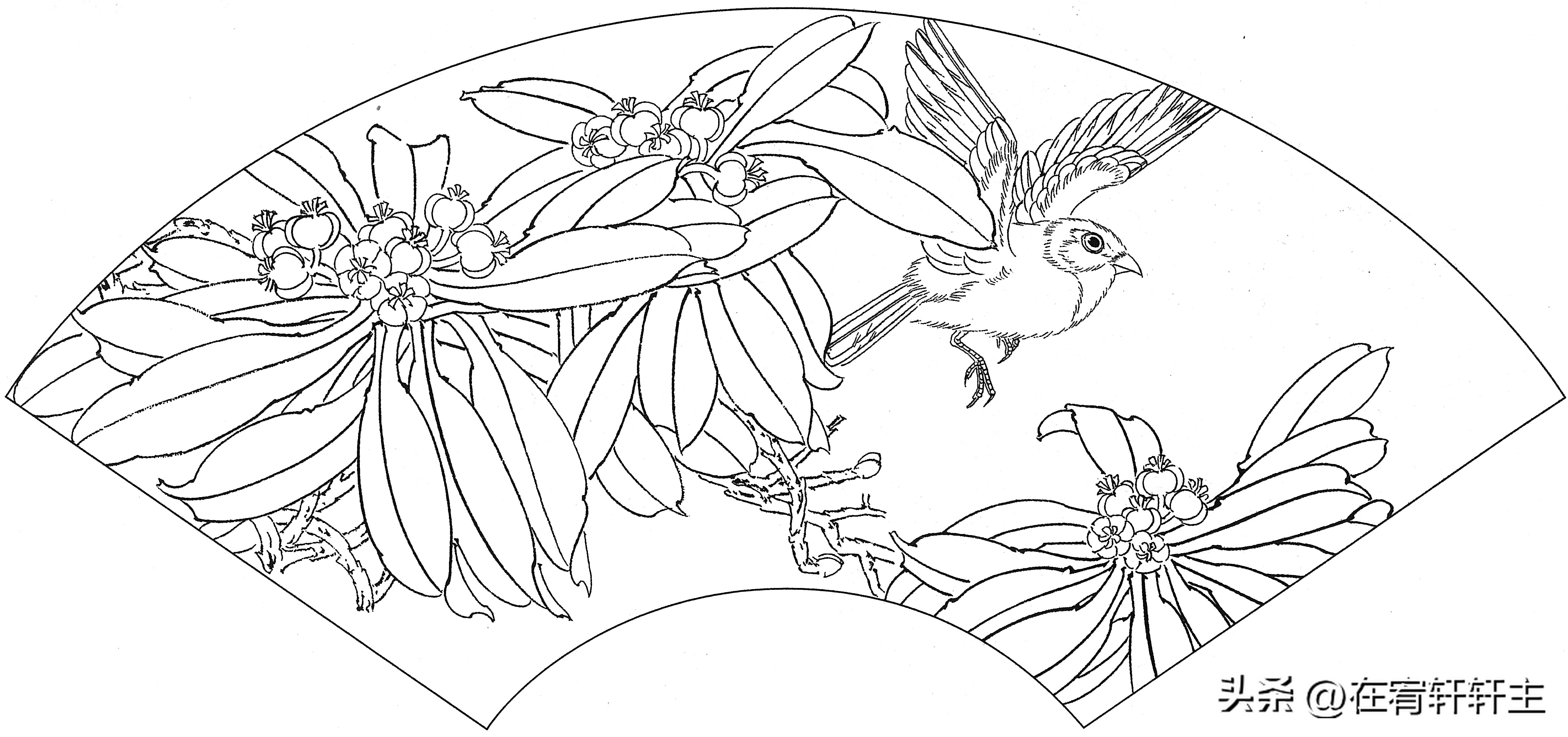 工笔白描祥云图案扇面,工笔扇面葡萄白描图片