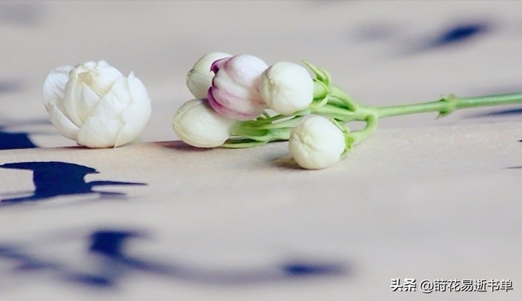 5.1微信推文,5.20推文