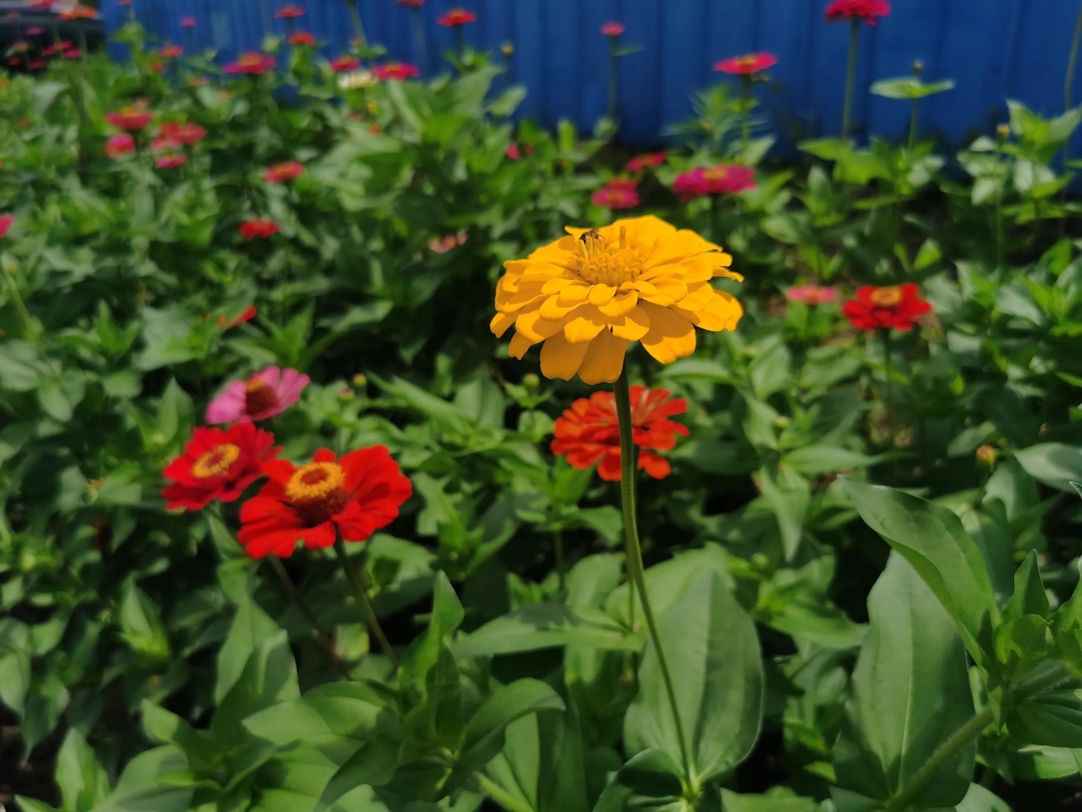 100种迷人的“数字花”,从零到一百万,真是太神奇了