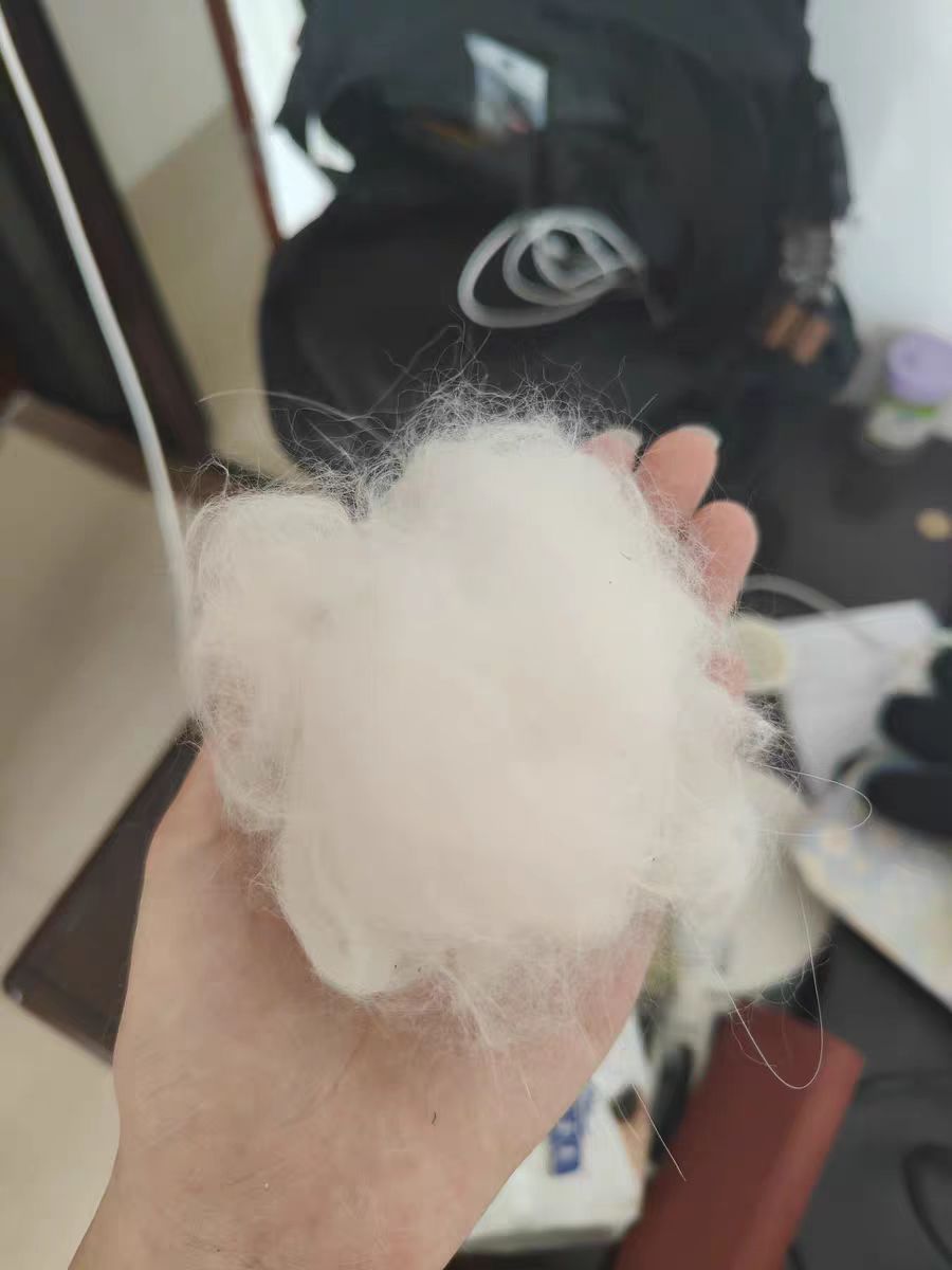 猫掉毛秃了一块白皮用什么药治,猫脖子一块一块的掉毛怎么回事