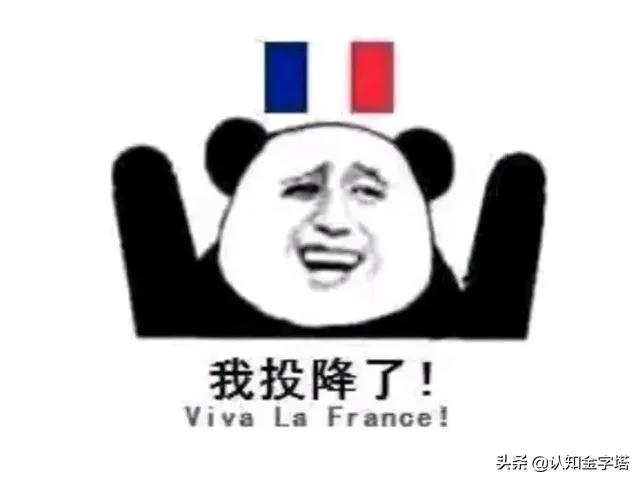 外籍军团主要和谁打仗,法国外籍军团有什么出色的战绩