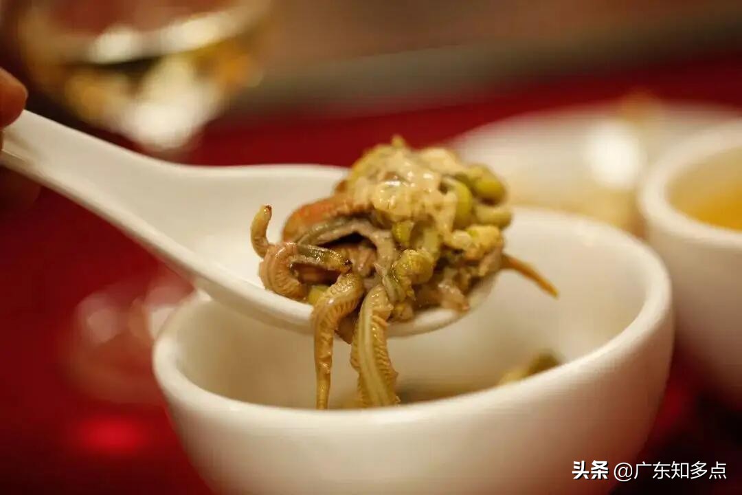 禾虫是广东哪里的美食,广东的虫虫美食
